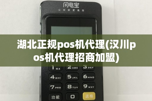 湖北正规pos机代理(汉川pos机代理招商加盟)