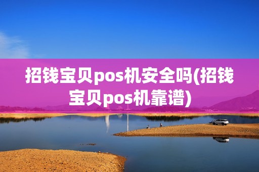 招钱宝贝pos机安全吗(招钱宝贝pos机靠谱)  第1张