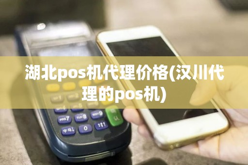 湖北pos机代理价格(汉川代理的pos机)