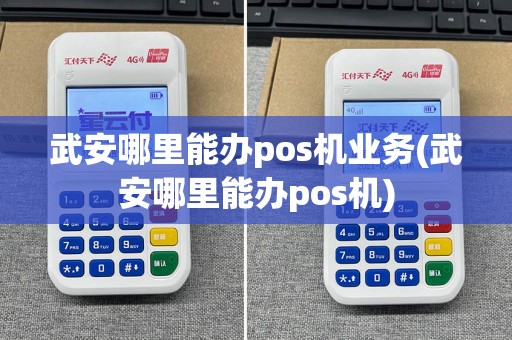 武安哪里能办pos机业务(武安哪里能办pos机)