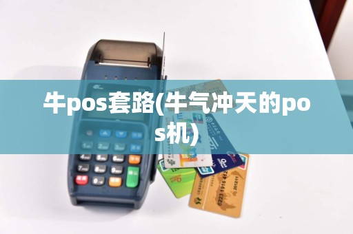 牛pos套路(牛气冲天的pos机)
