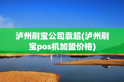 泸州刷宝公司袁超(泸州刷宝pos机加盟价格)