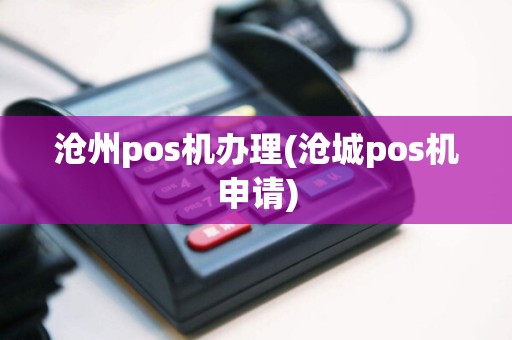沧州pos机办理(沧城pos机申请)