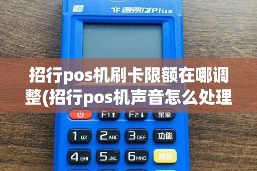 招行pos机刷卡限额在哪调整(招行pos机声音怎么处理)
