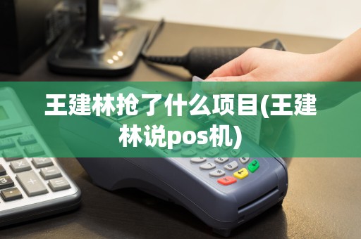 王建林抢了什么项目(王建林说pos机)