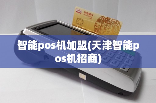 智能pos机加盟(天津智能pos机招商)