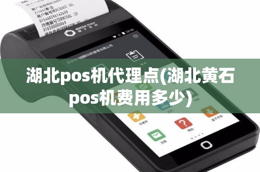湖北pos机代理点(湖北黄石pos机费用多少)