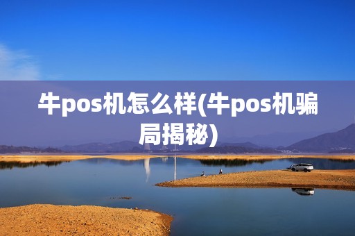 牛pos机怎么样(牛pos机骗局揭秘)
