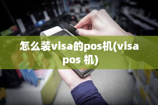 怎么装visa的pos机(visa pos 机)  第1张