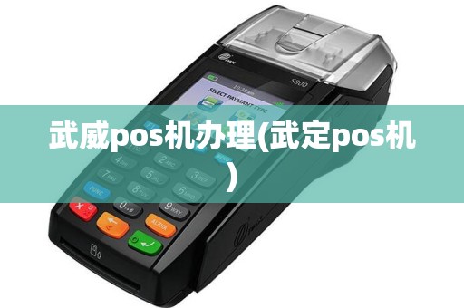 武威pos机办理(武定pos机)