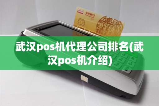 武汉pos机代理公司排名(武汉pos机介绍)