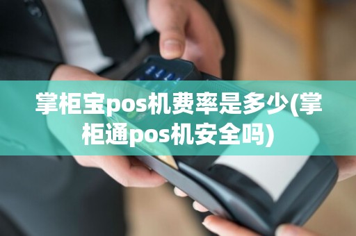 掌柜宝pos机费率是多少(掌柜通pos机安全吗)