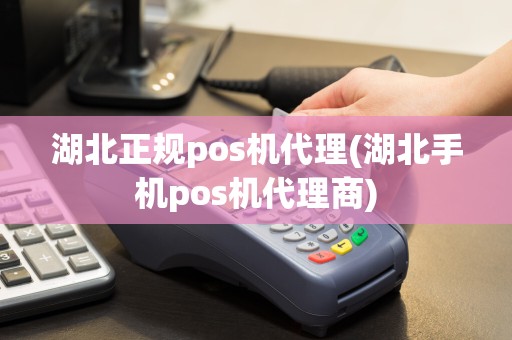 湖北正规pos机代理(湖北手机pos机代理商)