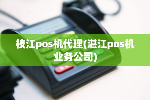 枝江pos机代理(湛江pos机业务公司)