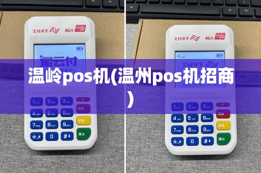 温岭pos机(温州pos机招商)