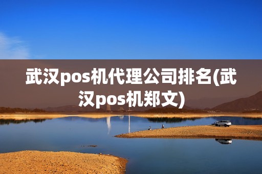 武汉pos机代理公司排名(武汉pos机郑文)