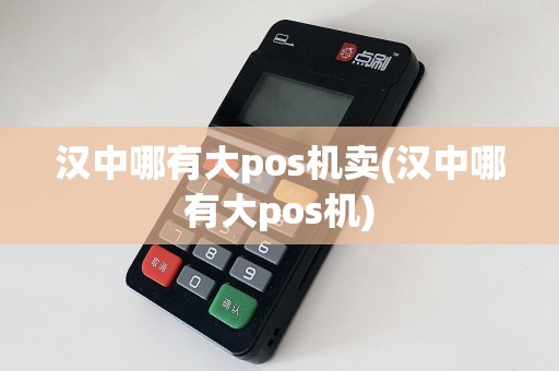 汉中哪有大pos机卖(汉中哪有大pos机)