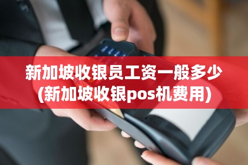 新加坡收银员工资一般多少(新加坡收银pos机费用)