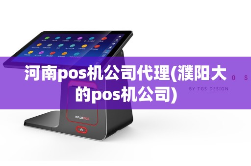 河南pos机公司代理(濮阳大的pos机公司)