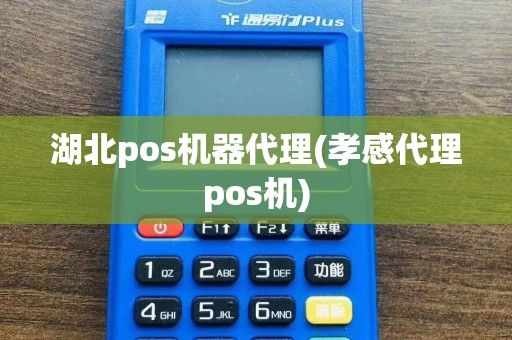 湖北pos机器代理(孝感代理pos机)