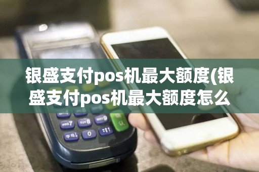 银盛支付pos机最大额度(银盛支付pos机最大额度怎么设置)