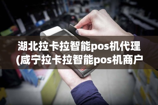 湖北拉卡拉智能pos机代理(咸宁拉卡拉智能pos机商户)
