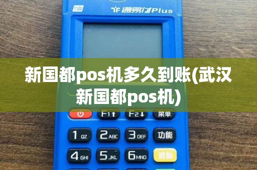 新国都pos机多久到账(武汉新国都pos机)