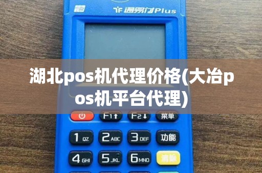 湖北pos机代理价格(大冶pos机平台代理)