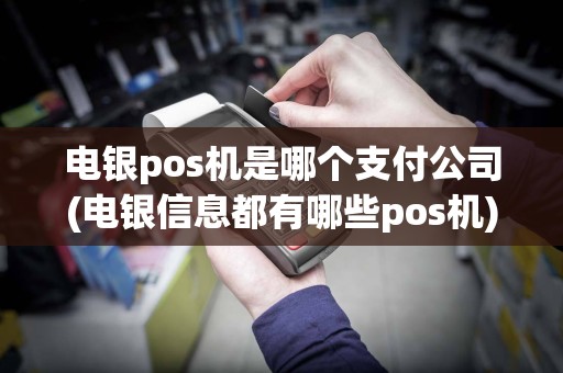电银pos机是哪个支付公司(电银信息都有哪些pos机)