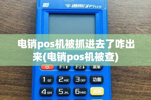 电销pos机被抓进去了咋出来(电销pos机被查)