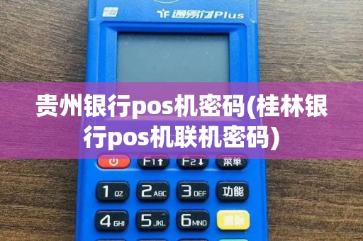 贵州银行pos机密码(桂林银行pos机联机密码)  第1张