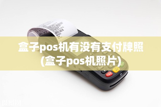 盒子pos机有没有支付牌照(盒子pos机照片)