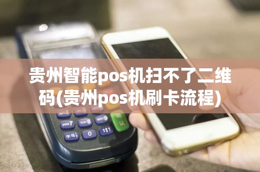 贵州智能pos机扫不了二维码(贵州pos机刷卡流程)