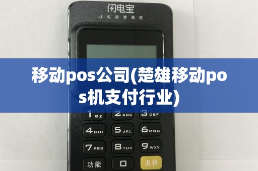 移动pos公司(楚雄移动pos机支付行业)