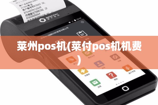 莱州pos机(莱付pos机机费)  第1张