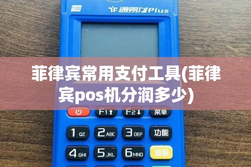 菲律宾常用支付工具(菲律宾pos机分润多少)