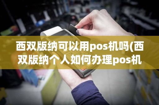 西双版纳可以用pos机吗(西双版纳个人如何办理pos机)  第1张