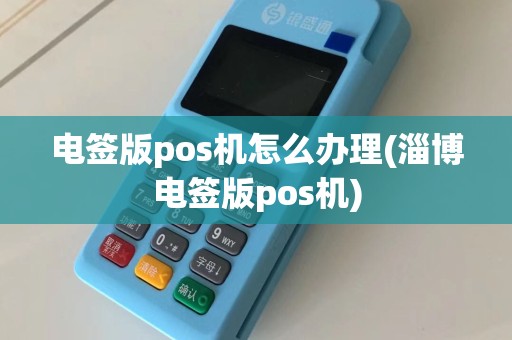 电签版pos机怎么办理(淄博电签版pos机)