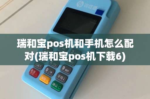 瑞和宝pos机和手机怎么配对(瑞和宝pos机下载6)
