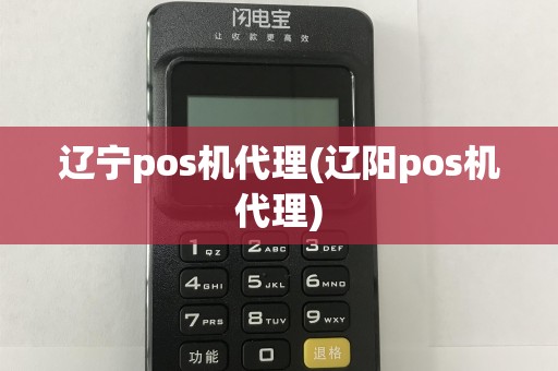 辽宁pos机代理(辽阳pos机代理)