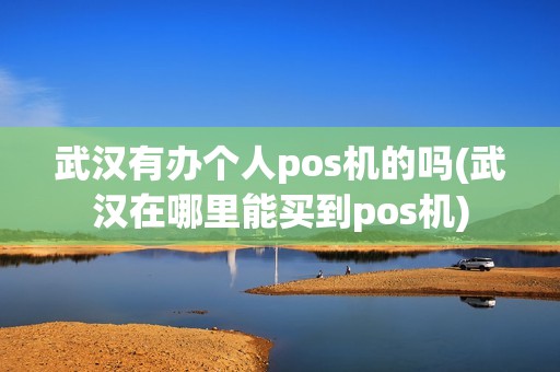 武汉有办个人pos机的吗(武汉在哪里能买到pos机)