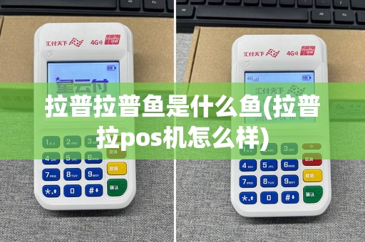 拉普拉普鱼是什么鱼(拉普拉pos机怎么样)