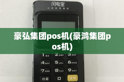 豪弘集团pos机(豪鸿集团pos机)
