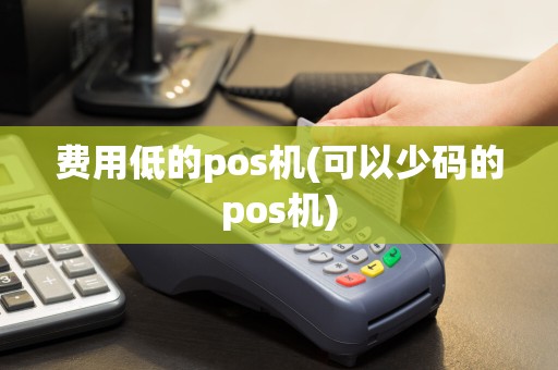 费用低的pos机(可以少码的pos机)