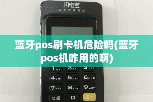 蓝牙pos刷卡机危险吗(蓝牙pos机咋用的啊)