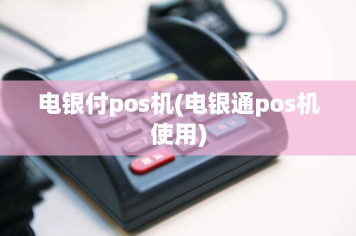 电银付pos机(电银通pos机使用)
