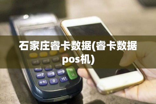 石家庄睿卡数据(睿卡数据pos机)