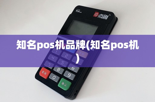 知名pos机品牌(知名pos机)  第1张
