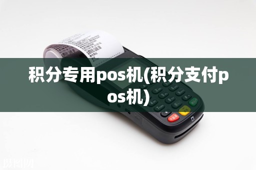 积分专用pos机(积分支付pos机)