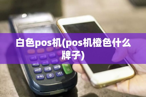 白色pos机(pos机橙色什么牌子)